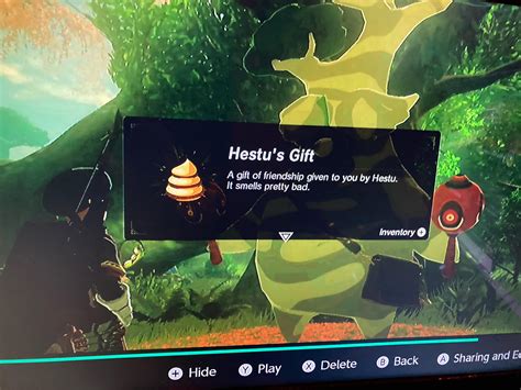 what does hestu's gift do.